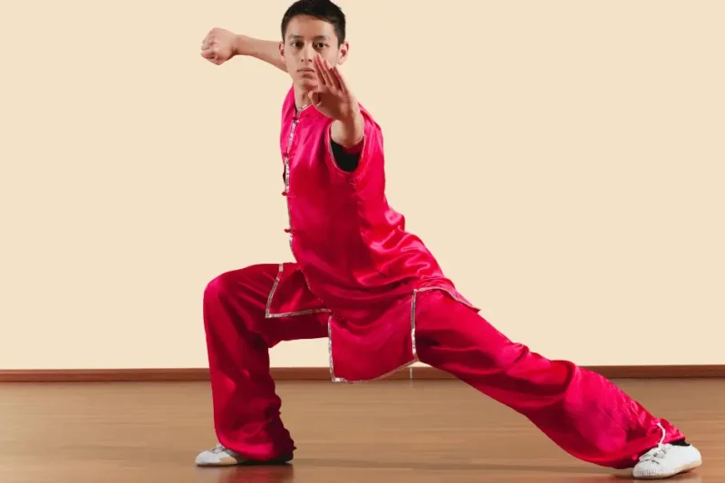 Kung Fu Panda 4 2024 Parents Guide